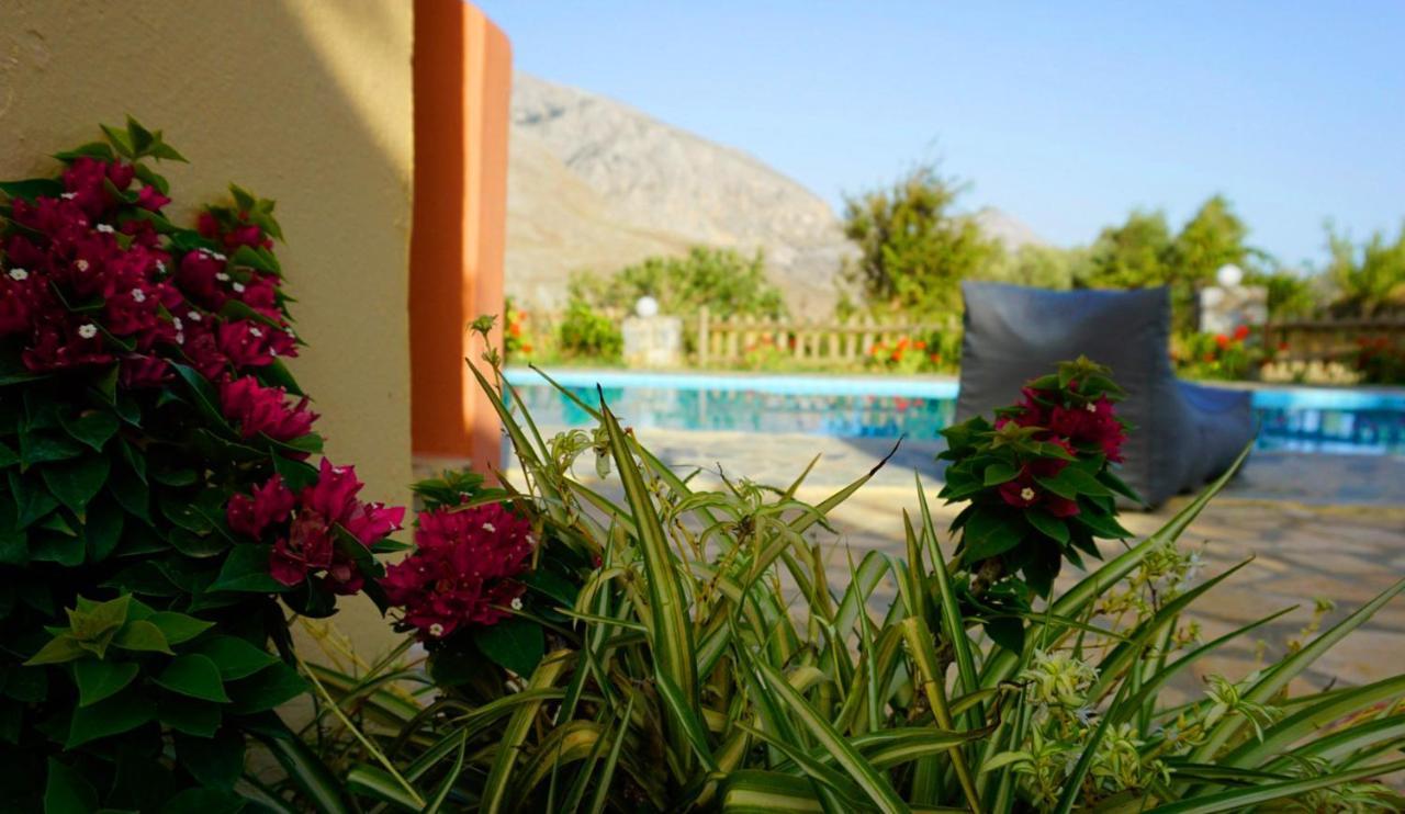 Villa Despina 1 Plakias Private Villa, Private Swimming Pool Garden,Amazing View Lefkogeia Екстериор снимка